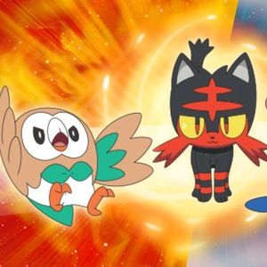 Meet your Posher, Tena